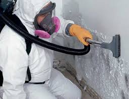 Best Air Quality Testing for Mold Spores  in Hinton, OK